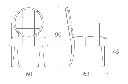 5.webp