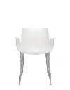 WHITE1.webp