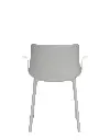 WHITE4.webp
