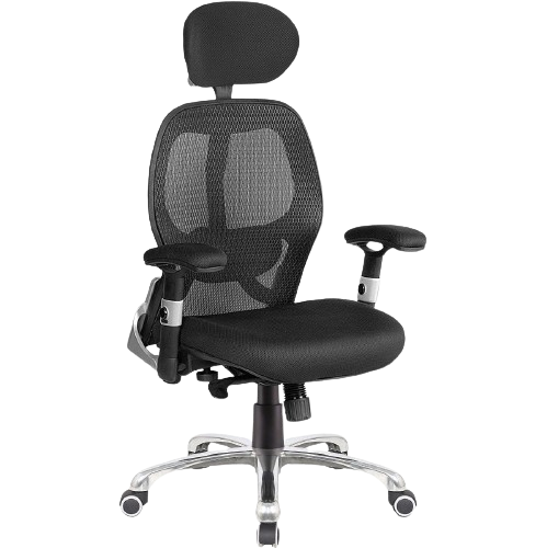Ergo(24hrs) Mesh Office Chair