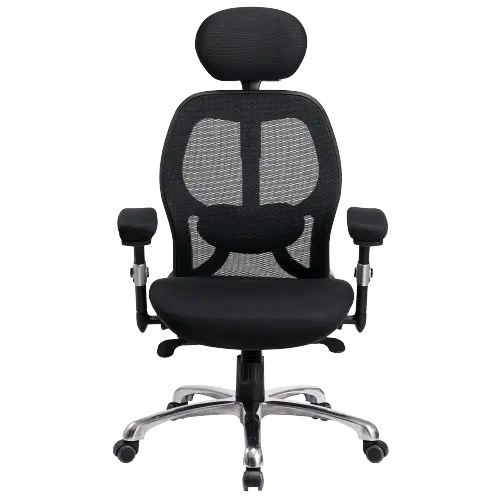 Ergo Mesh Office Chair