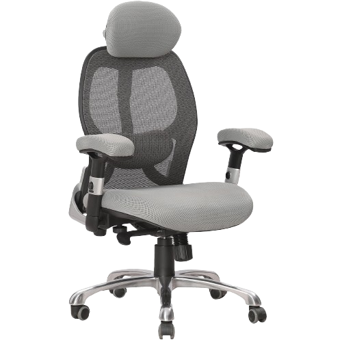Ergo(24hrs) Mesh Office Chair