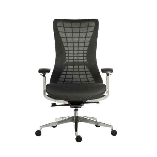 Quantum Executive Chairs